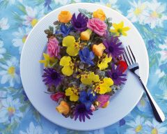 Tapeta Nature Flowers 619.jpg